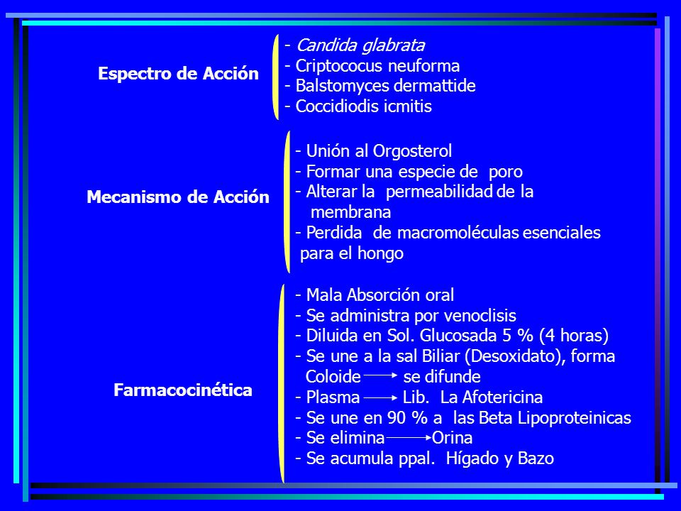 Candida glabrata Criptococus neuforma. Balstomyces dermattide. Coccidiodis icmitis. Espectro de Acción.