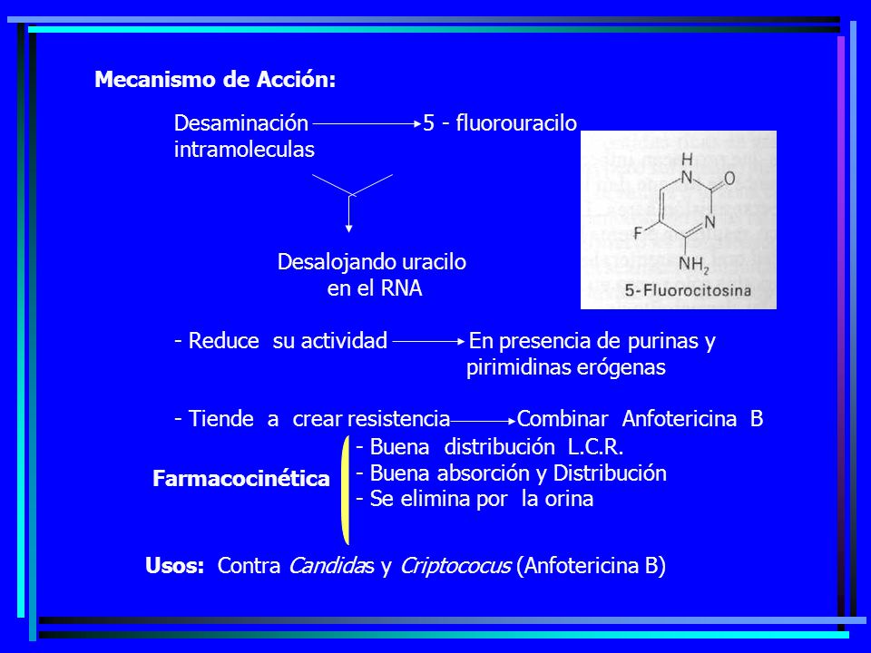 Mecanismo de Acción: Desaminación 5 - fluorouracilo. intramoleculas. Desalojando uracilo.