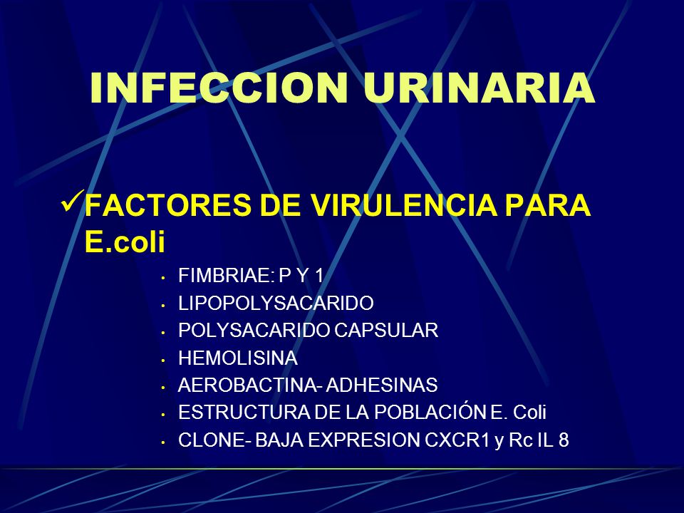 INFECCION URINARIA FACTORES DE VIRULENCIA PARA E.coli FIMBRIAE: P Y 1