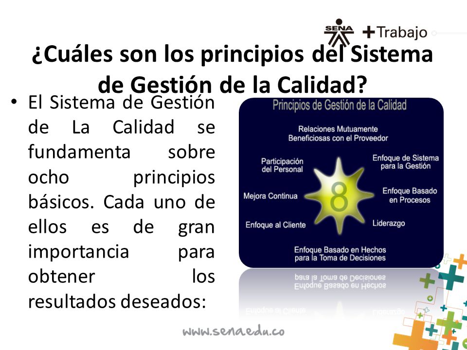 ¿Cuáles son los principios del Sistema de Gestión de la Calidad