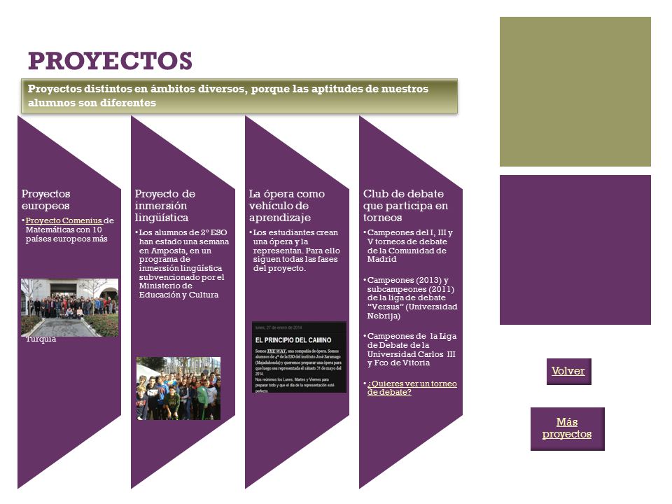 PROYECTOS Proyectos distintos en ámbitos diversos, porque las aptitudes de nuestros alumnos son diferentes.
