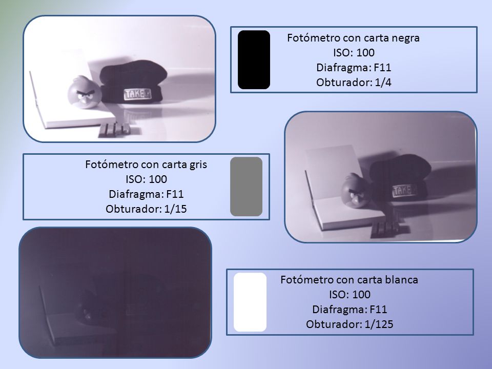 Fotómetro con carta negra ISO: 100 Diafragma: F11 Obturador: 1/4
