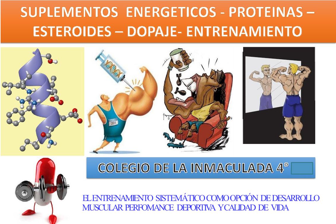 EL ENTRENAMIENTO SISTEMÁTICO COMO OPCIÓN DE DESARROLLO MUSCULAR PERFOMANCE DEPORTIVA Y CALIDAD DE VIDA