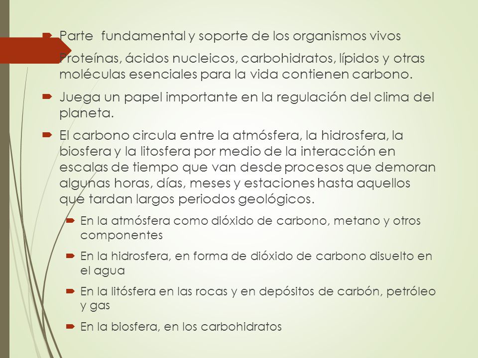 Parte fundamental y soporte de los organismos vivos