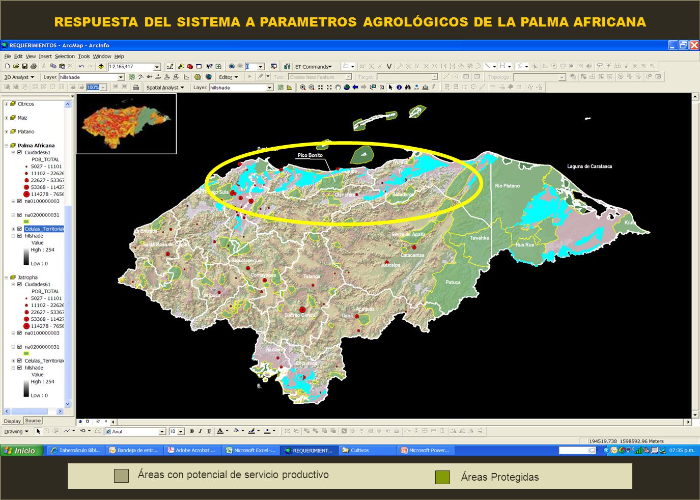 RESPUESTA DEL SISTEMA A PARAMETROS AGROLÓGICOS DE LA PALMA AFRICANA