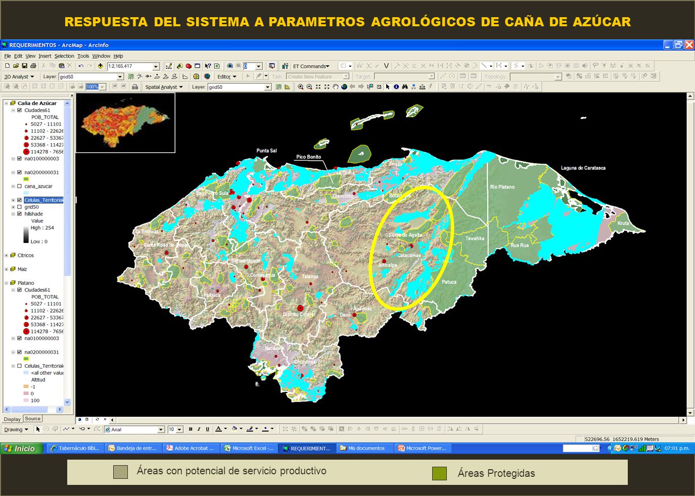 RESPUESTA DEL SISTEMA A PARAMETROS AGROLÓGICOS DE CAÑA DE AZÚCAR