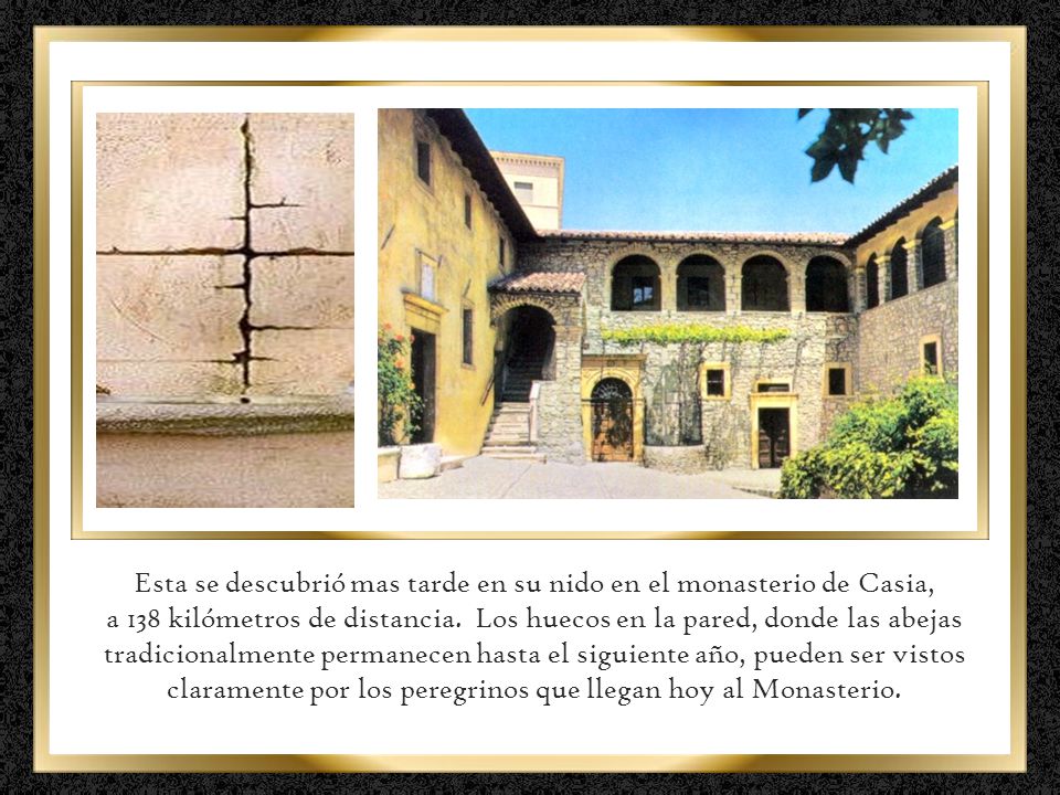 Esta se descubrió mas tarde en su nido en el monasterio de Casia,