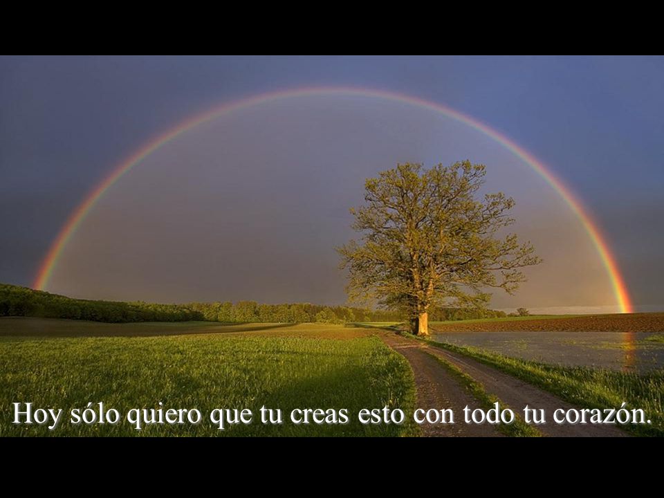 Hoy sólo quiero que tu creas esto con todo tu corazón.
