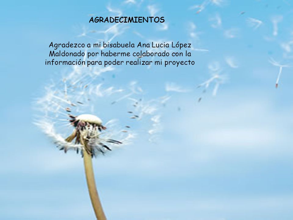 AGRADECIMIENTOS Agradezco a mi bisabuela Ana Lucia López Maldonado por haberme colaborado con la información para poder realizar mi proyecto.