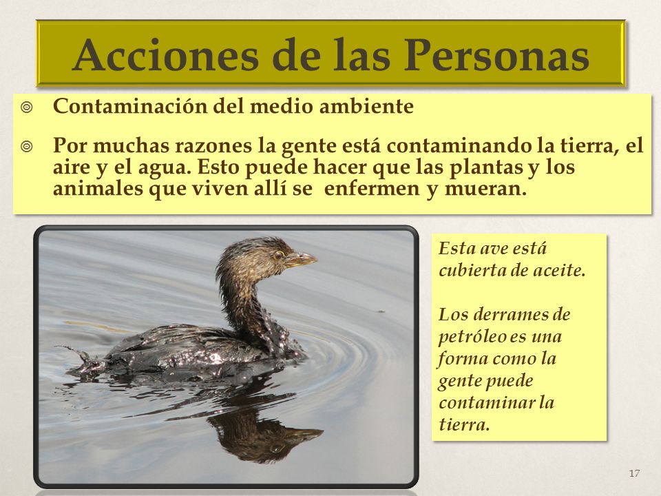 Acciones de las Personas