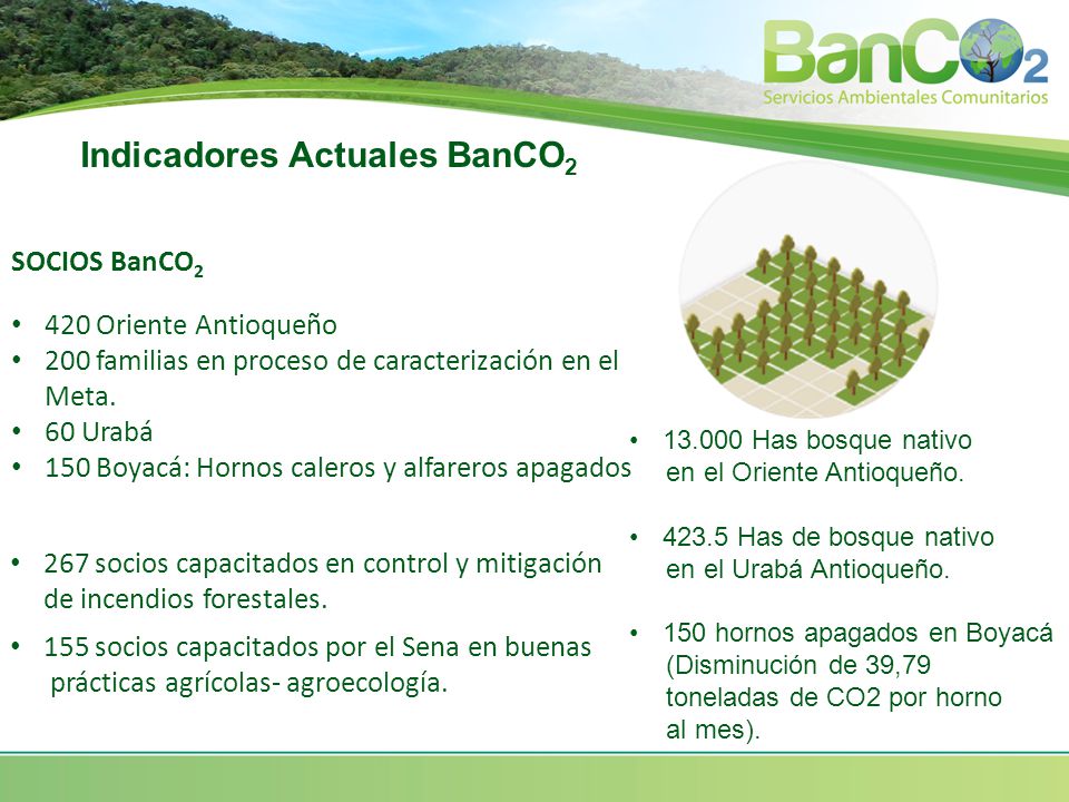 Indicadores Actuales BanCO2
