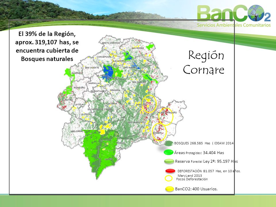 El 39% de la Región, aprox. 319,107 has, se encuentra cubierta de Bosques naturales
