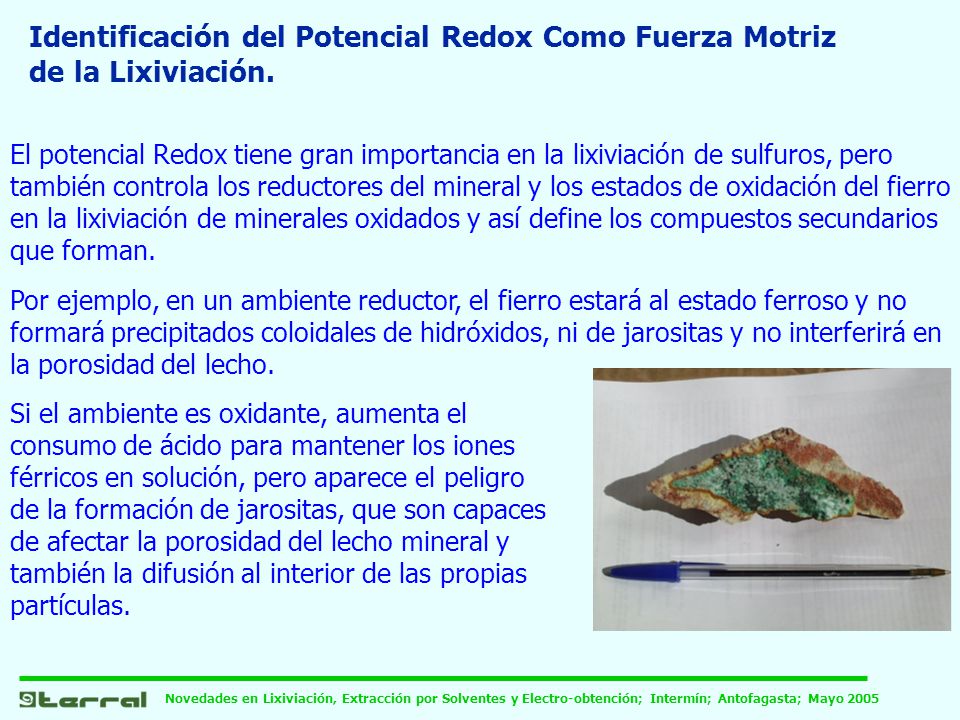 Identificación del Potencial Redox Como Fuerza Motriz de la Lixiviación.