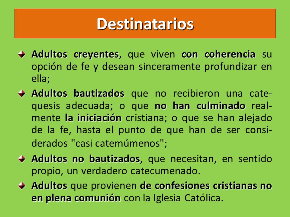 Destinatarios Adultos creyentes, que viven con coherencia su opción de fe y desean sinceramente profundizar en ella;