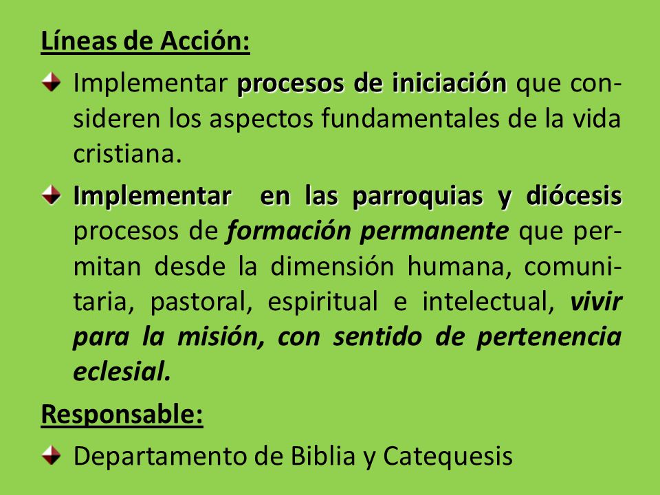 Líneas de Acción: Implementar procesos de iniciación que con-sideren los aspectos fundamentales de la vida cristiana.