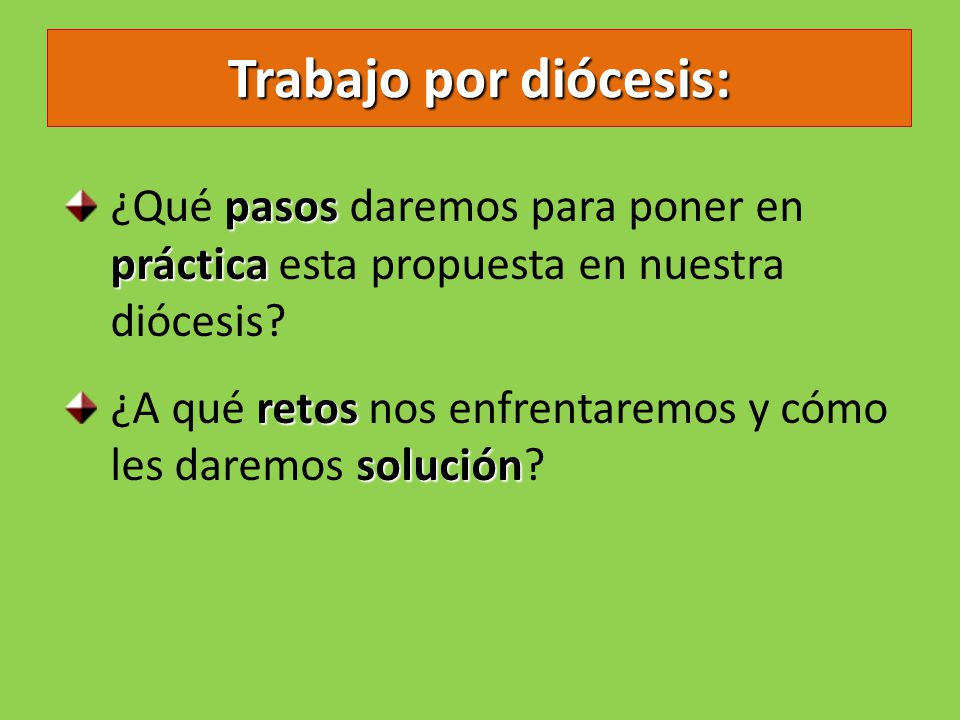 Trabajo por diócesis: ¿Qué pasos daremos para poner en práctica esta propuesta en nuestra diócesis