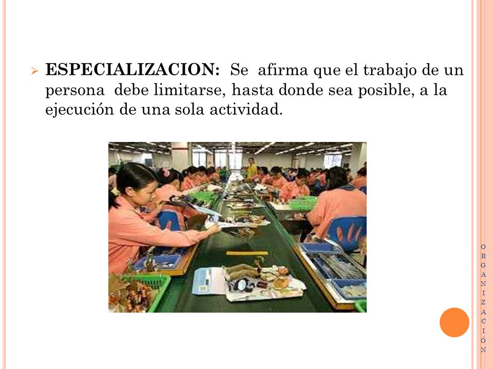 ESPECIALIZACION: Se afirma que el trabajo de un persona debe limitarse, hasta donde sea posible, a la ejecución de una sola actividad.