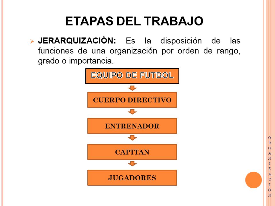 ETAPAS DEL TRABAJO JERARQUIZACIÓN: Es la disposición de las funciones de una organización por orden de rango, grado o importancia.