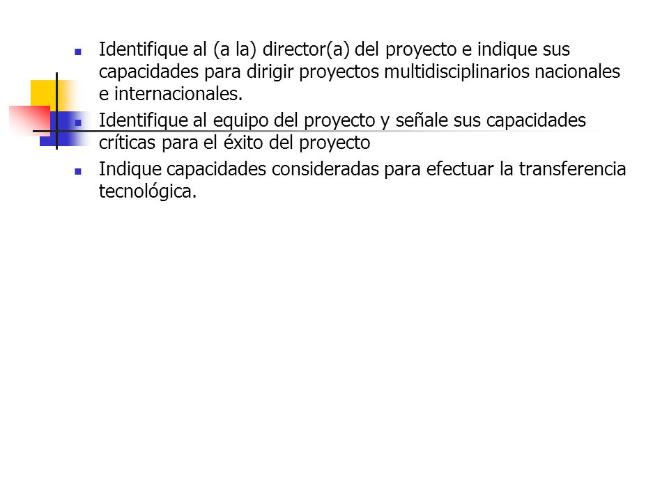 Identifique al (a la) director(a) del proyecto e indique sus capacidades para dirigir proyectos multidisciplinarios nacionales e internacionales.