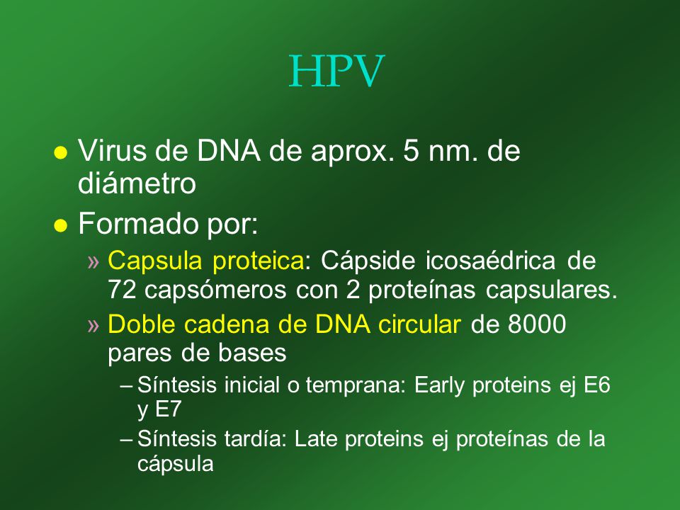 HPV Virus de DNA de aprox. 5 nm. de diámetro Formado por: