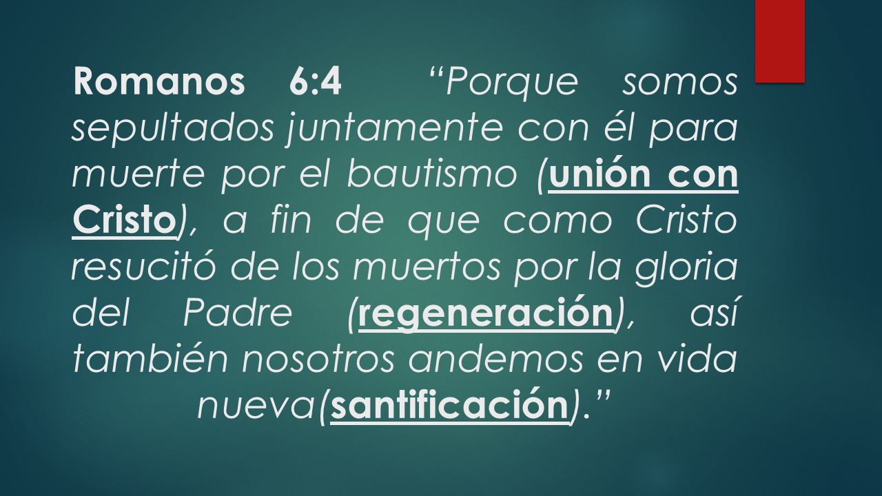 Romanos 6:4 Porque somos sepultados juntamente con él para muerte por el bautismo (unión con Cristo), a fin de que como Cristo resucitó de los muertos por la gloria del Padre (regeneración), así también nosotros andemos en vida nueva(santificación).