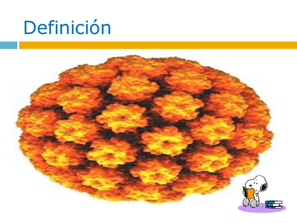 Definición Se Transmite a través del contacto genital que afecta, pene , ano, cervix , vagina y el ano.