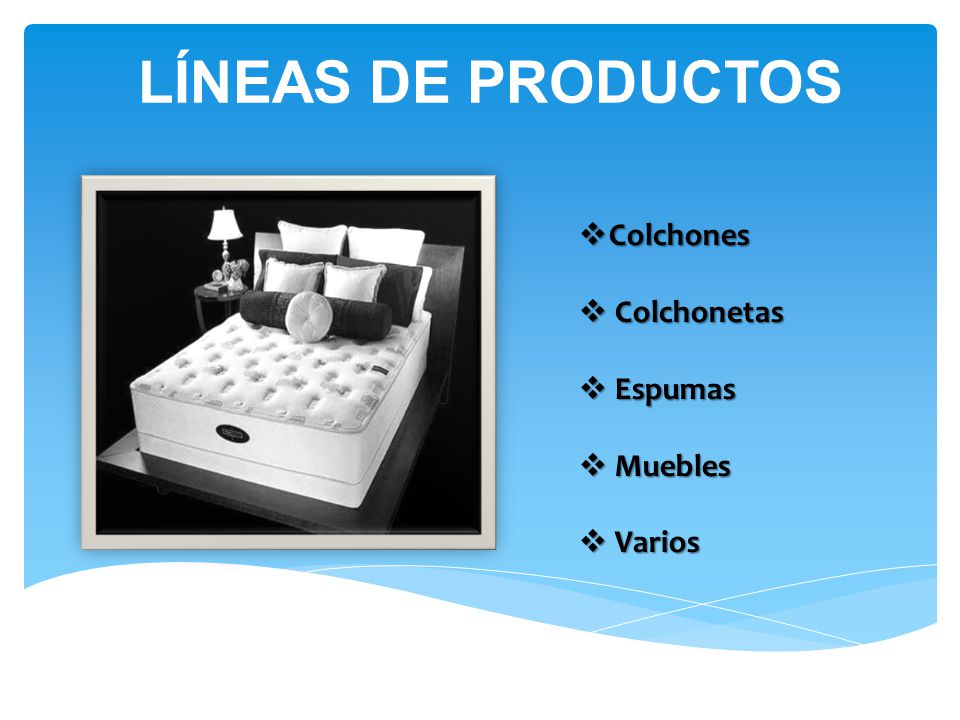LÍNEAS DE PRODUCTOS Colchones Colchonetas Espumas Muebles Varios
