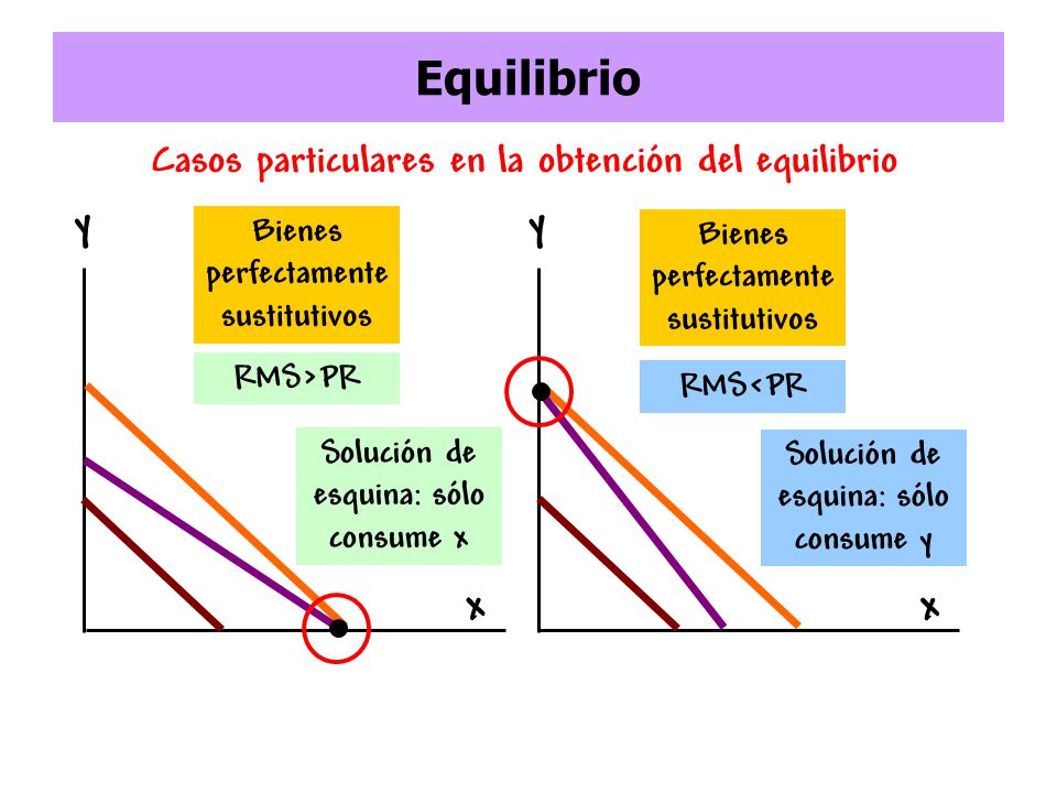 Equilibrio y y x x Casos particulares en la obtención del equilibrio