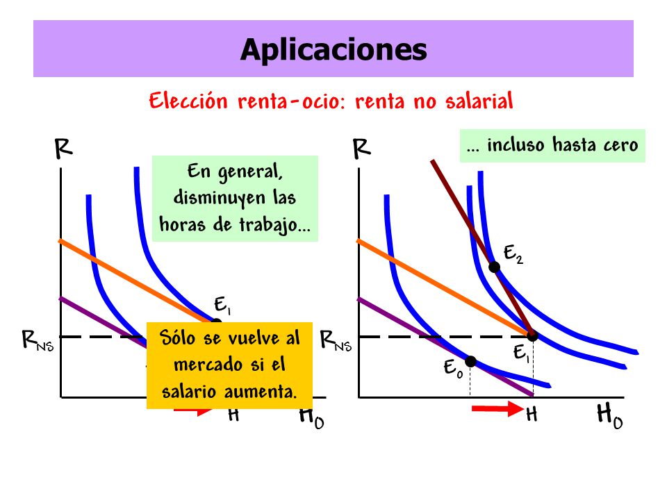 Aplicaciones R R HO HO Elección renta-ocio: renta no salarial RNS RNS