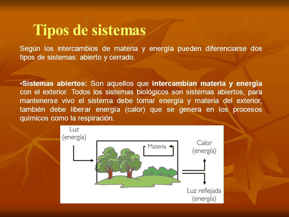 Tipos de sistemas Según los intercambios de materia y energía pueden diferenciarse dos tipos de sistemas: abierto y cerrado.