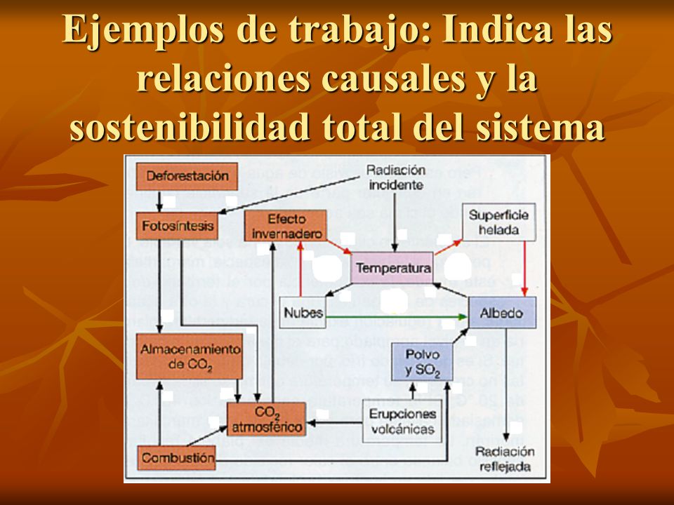 Ejemplos de trabajo: Indica las relaciones causales y la sostenibilidad total del sistema