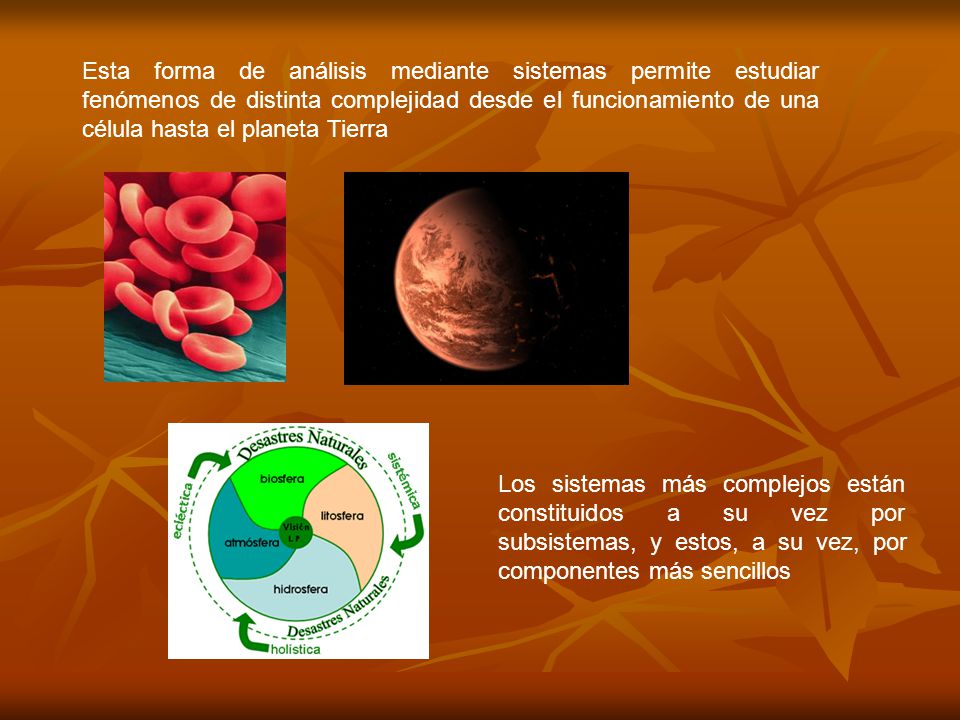 Esta forma de análisis mediante sistemas permite estudiar fenómenos de distinta complejidad desde el funcionamiento de una célula hasta el planeta Tierra