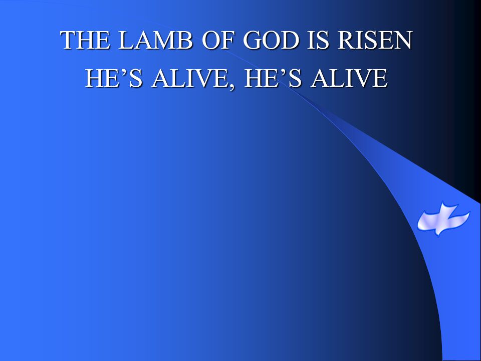 THE LAMB OF GOD IS RISEN HE’S ALIVE, HE’S ALIVE