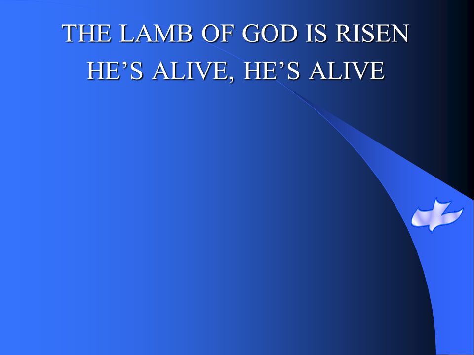 THE LAMB OF GOD IS RISEN HE’S ALIVE, HE’S ALIVE