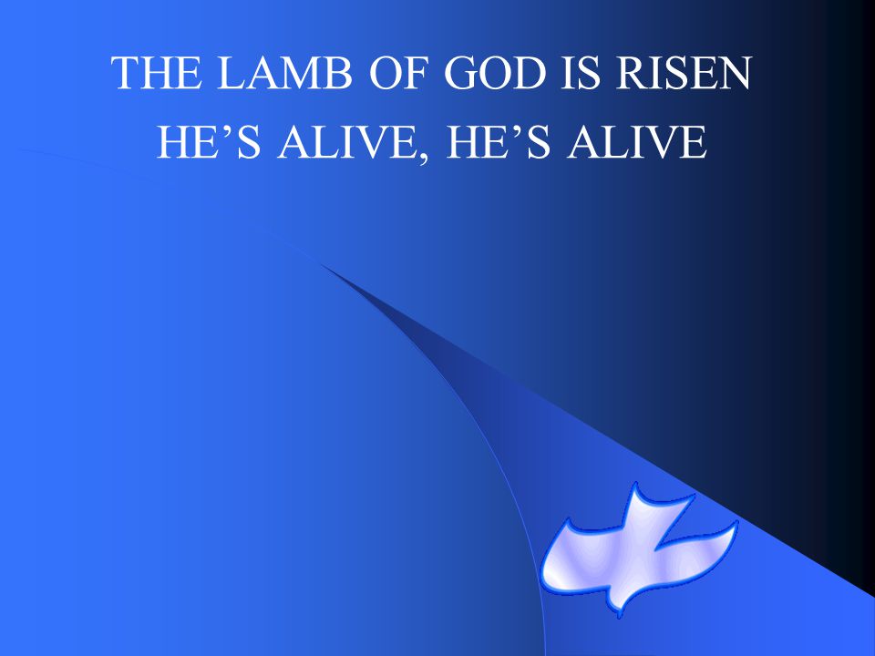 THE LAMB OF GOD IS RISEN HE’S ALIVE, HE’S ALIVE