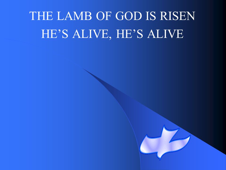 THE LAMB OF GOD IS RISEN HE’S ALIVE, HE’S ALIVE