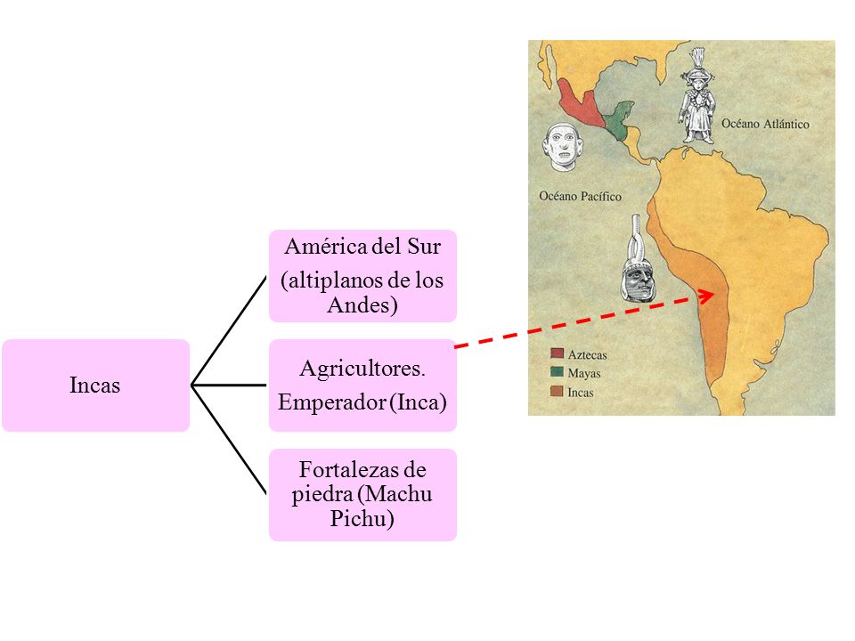 (altiplanos de los Andes) América del Sur Emperador (Inca)