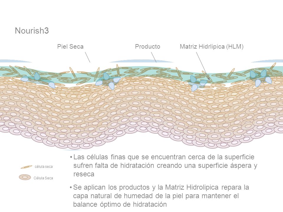 Nourish3 Piel Seca. Producto. Matriz Hidrlipica (HLM)