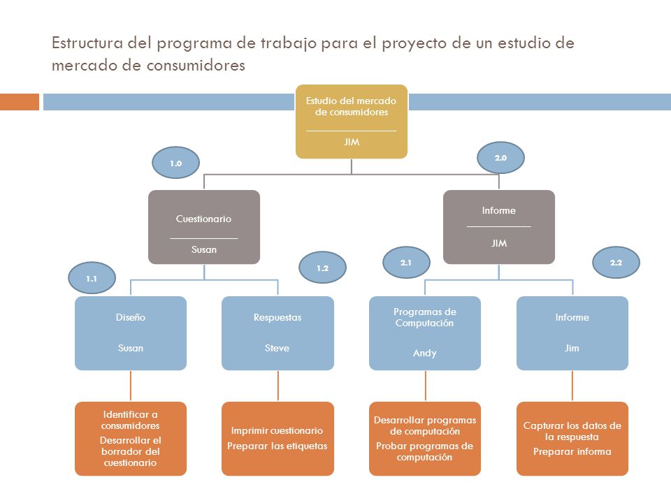 Estructura del programa de trabajo para el proyecto de un estudio de mercado de consumidores