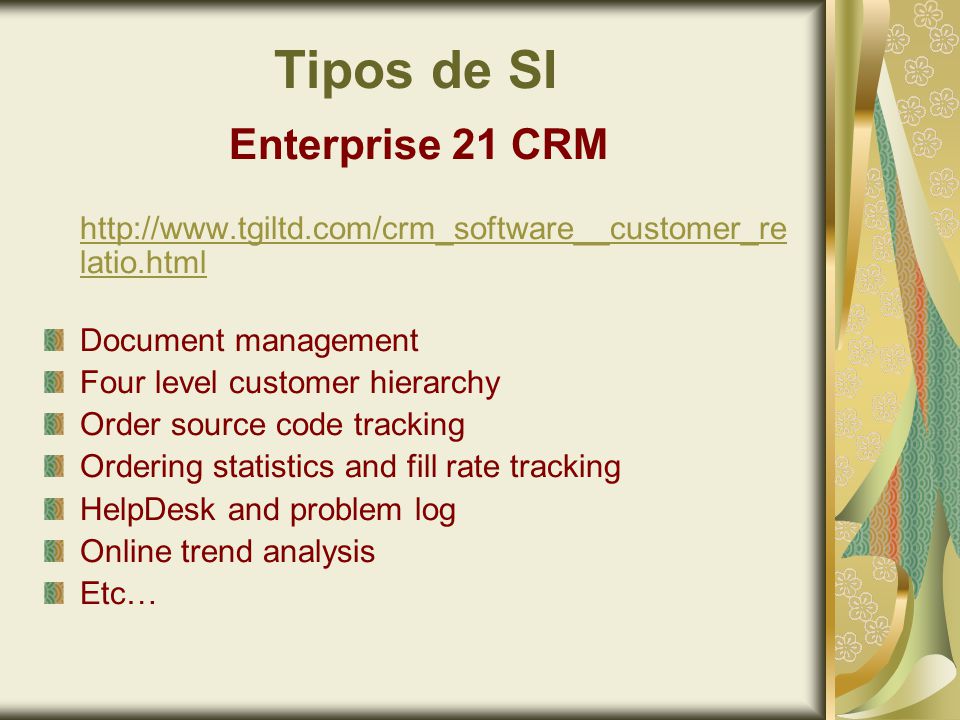 Tipos de SI Enterprise 21 CRM