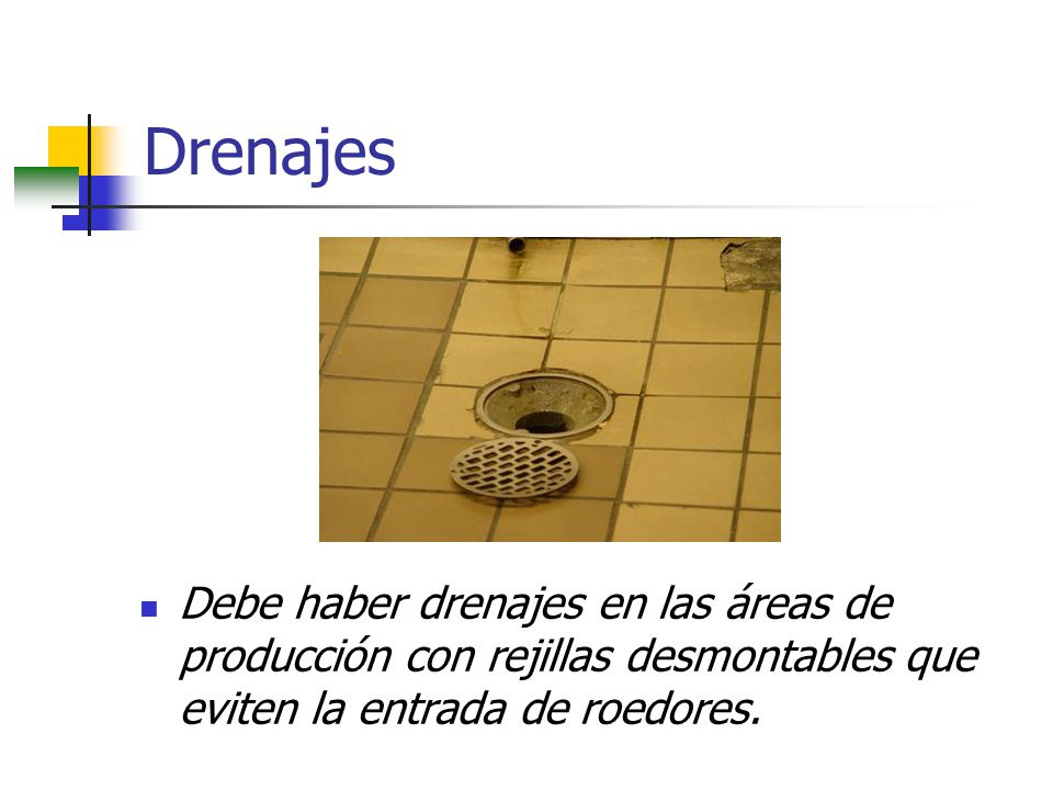 Drenajes Debe haber drenajes en las áreas de producción con rejillas desmontables que eviten la entrada de roedores.