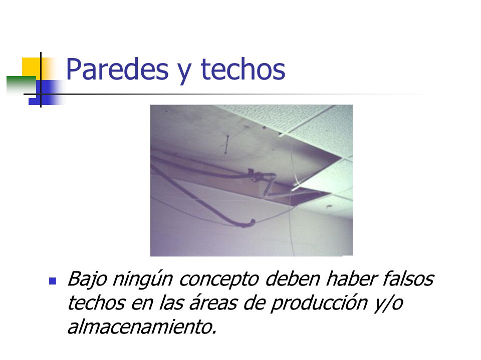 Paredes y techos Bajo ningún concepto deben haber falsos techos en las áreas de producción y/o almacenamiento.