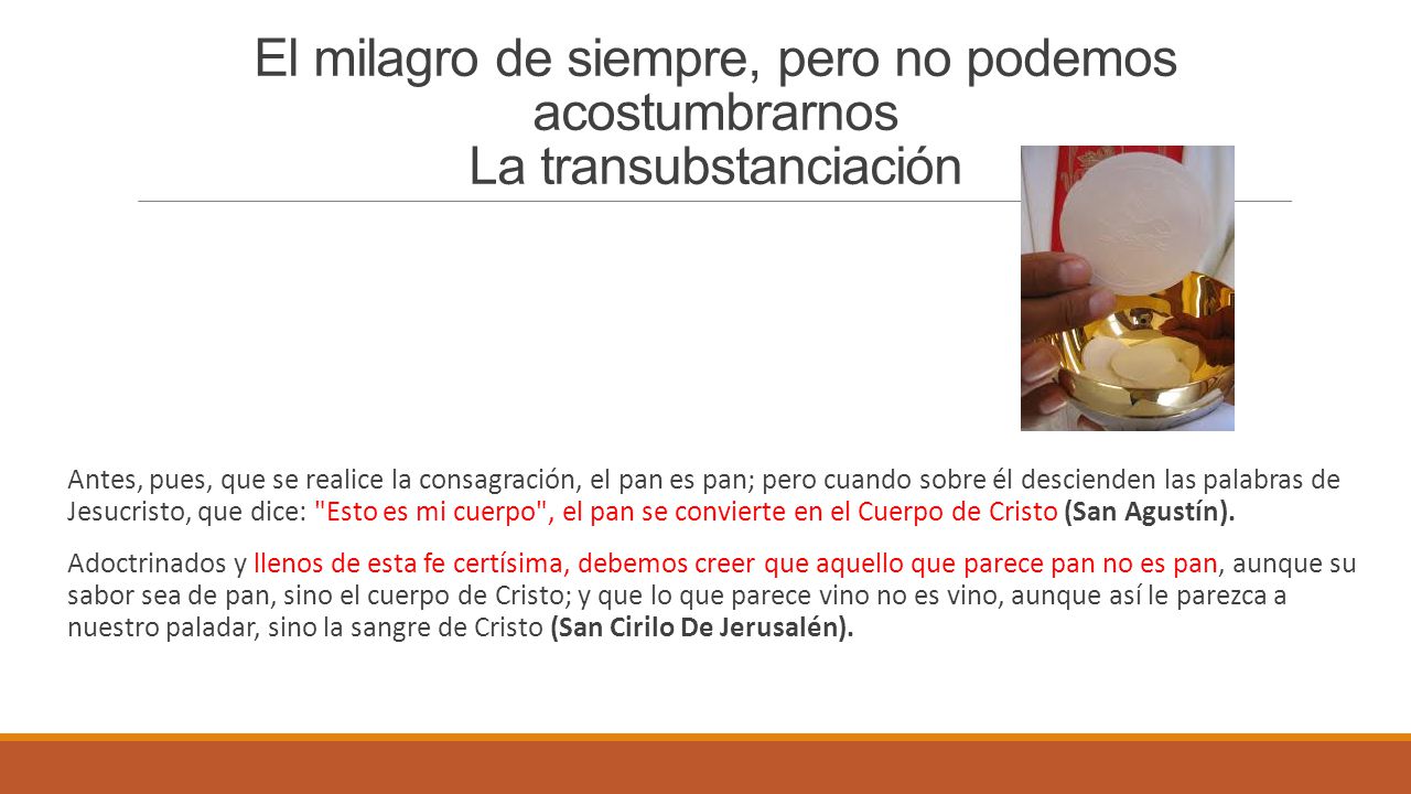 El milagro de siempre, pero no podemos acostumbrarnos La transubstanciación