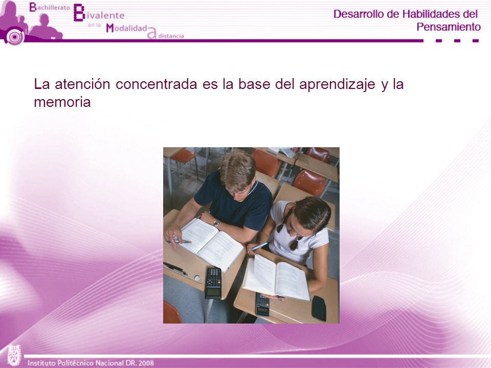La atención concentrada es la base del aprendizaje y la memoria