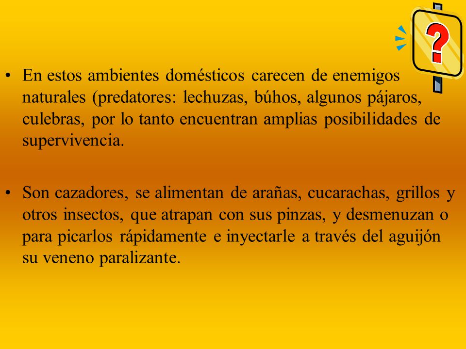 En estos ambientes domésticos carecen de enemigos naturales (predatores: lechuzas, búhos, algunos pájaros, culebras, por lo tanto encuentran amplias posibilidades de supervivencia.