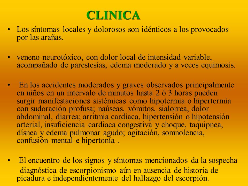CLINICA Los síntomas locales y dolorosos son idénticos a los provocados por las arañas.