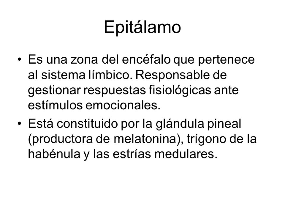 Epitálamo Es una zona del encéfalo que pertenece al sistema límbico. Responsable de gestionar respuestas fisiológicas ante estímulos emocionales.