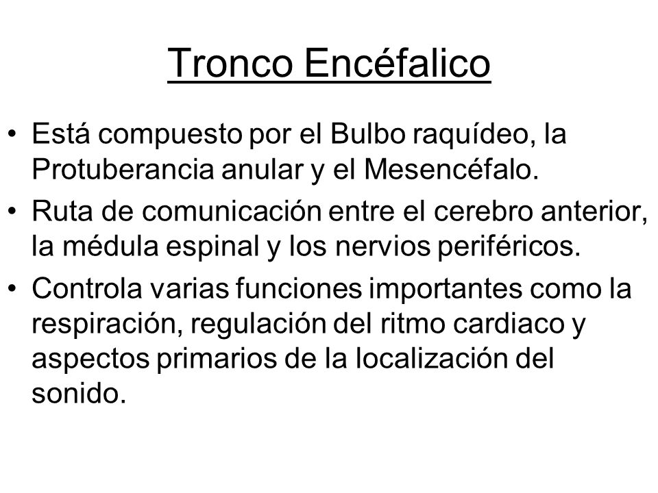 Tronco Encéfalico Está compuesto por el Bulbo raquídeo, la Protuberancia anular y el Mesencéfalo.