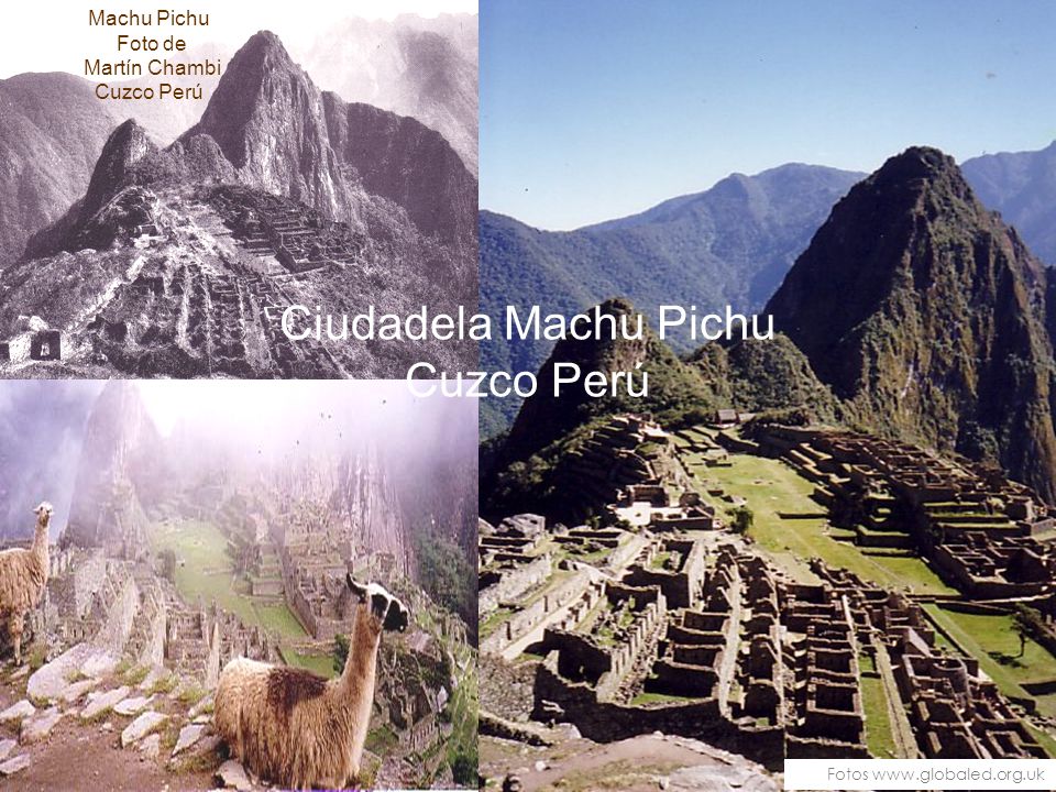 Ciudadela Machu Pichu Cuzco Perú Machu Pichu Foto de Martín Chambi
