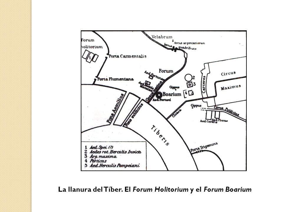 La llanura del Tíber. El Forum Holitorium y el Forum Boarium